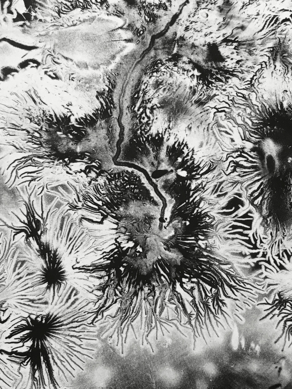 What Are Electrostatic Monotypes?